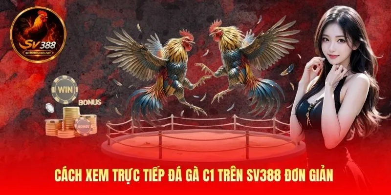 Cách xem trực tiếp đá gà C1 trên SV388 đơn giản